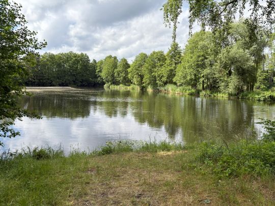 Georg-Smietana-See-4