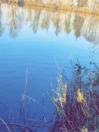 Kiesseen Westerende Hofweg-3