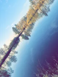 Kiesseen Westerende Hofweg-4