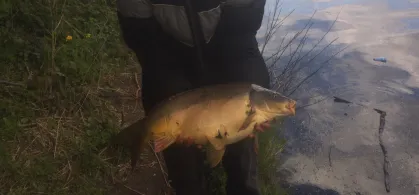 Teltowkanal (Berlin-Neukölln)-2