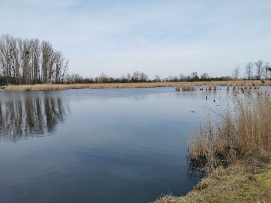 Schachtteiche Eggersdorf-2