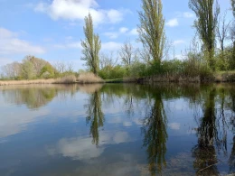 Schachtteiche Eggersdorf-4