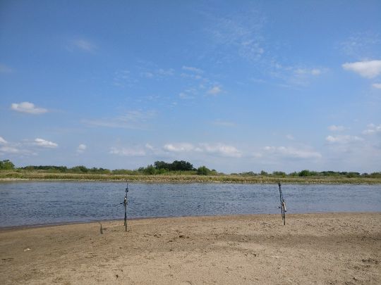 Oder (Eisenhüttenstadt)-1