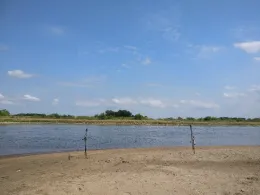 Oder (Eisenhüttenstadt)-1