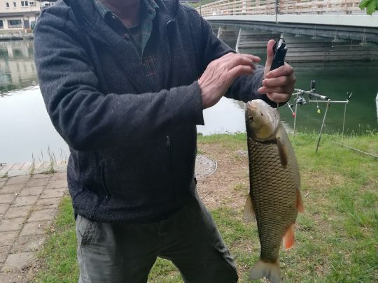 Alz (Truchtlaching)-3