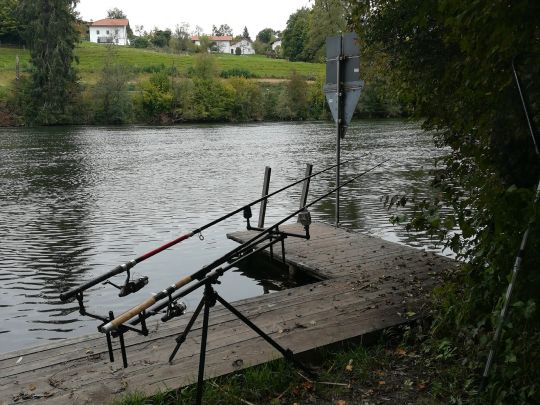 Alz (Truchtlaching)-2