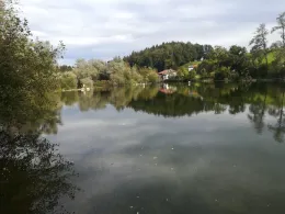 Alz (Truchtlaching)-1