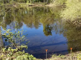 Rückhaltebecken Edewecht-1