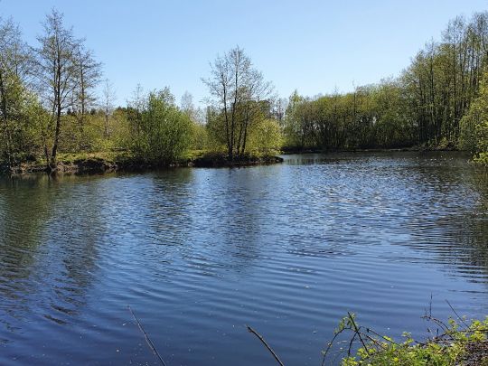 Rückhaltebecken Edewecht-0