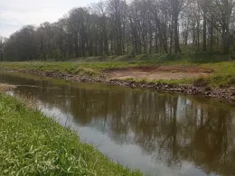 Neue Luppe (Leipzig)-4