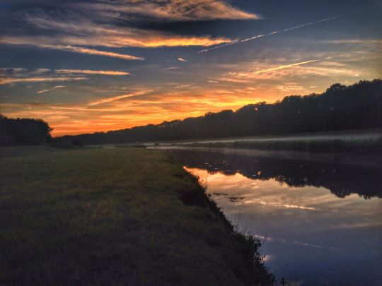 Neue Luppe (Leipzig)