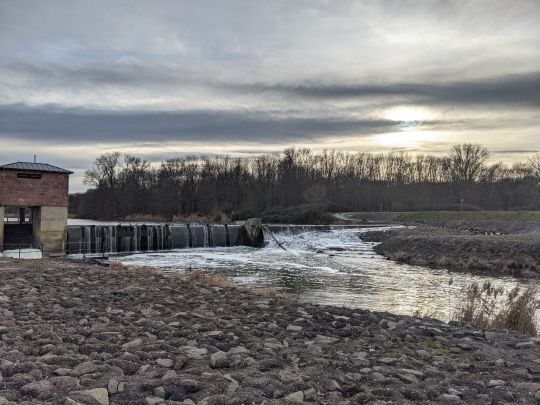 Neue Luppe (Leipzig)-2