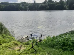 Haucksee (Stettfeld)