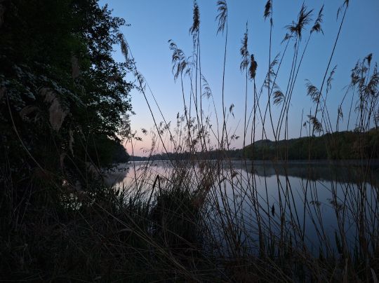 Haucksee (Stettfeld)-1