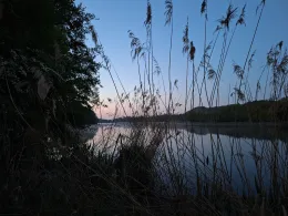 Haucksee (Stettfeld)-1