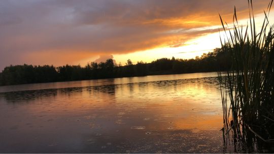 Wöltingerode See 1-6-4