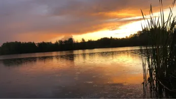 Wöltingerode See 1-6-4