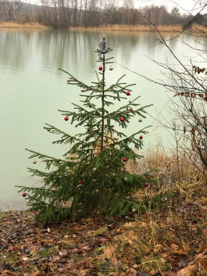 Wöltingerode See 1-6-2