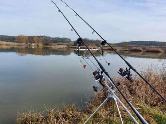 Fetzelhofener Weiher 1-2