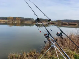 Fetzelhofener Weiher 1-2