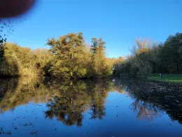 Regenrückhaltebecken Westerkappeln-1