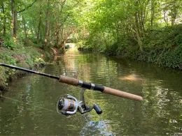 Buchenbach (Winnenden)-1