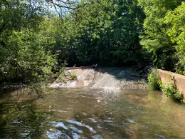 Buchenbach (Winnenden)