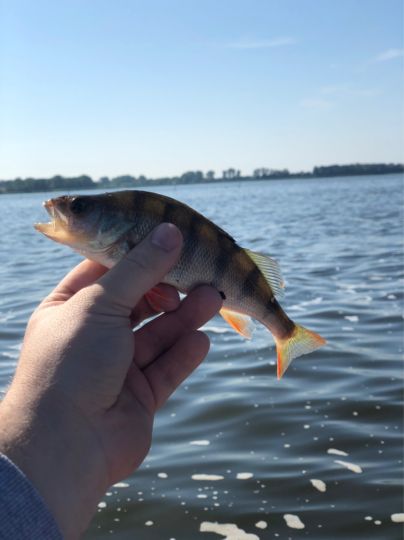 Angeln in Polen ALLE ANGELN