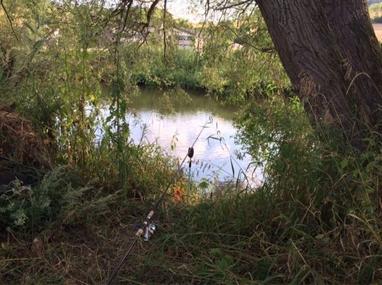 Fulda (Körle-Lobenhausen)