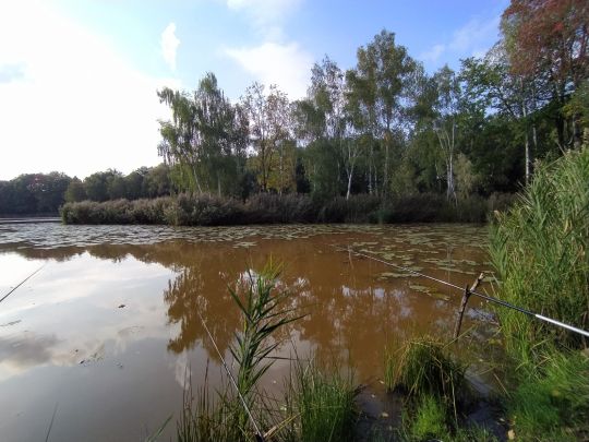 ACA-Teich Dobien-4