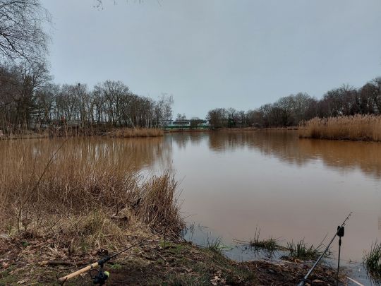 ACA-Teich Dobien-3