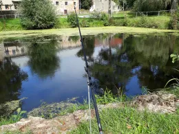 Löschteich Rauschendorf-3