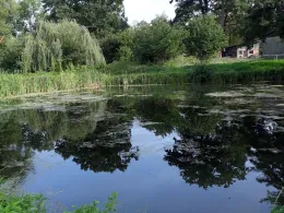 Löschteich Rauschendorf-2