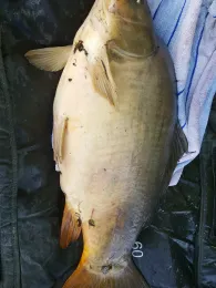 Stausee Großengottern