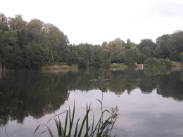 Stauweiher Kupferbach (Aachen)