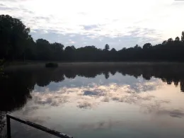 Stauweiher Kupferbach (Aachen)-2