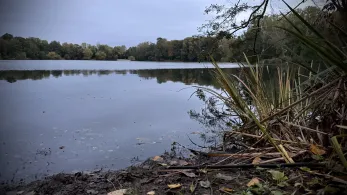 Klutensee-2