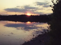 Steinfeldsee (Vienenburg)-2