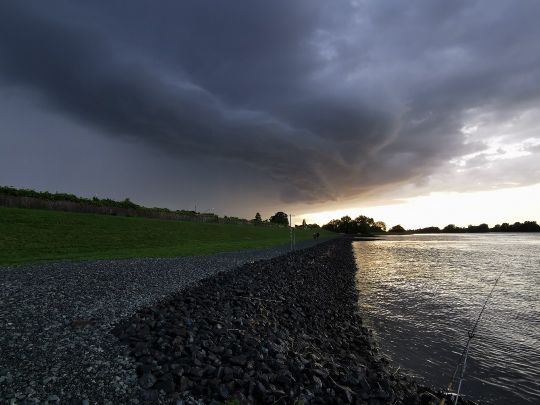 Elbe (Winsen/Luhe)-2