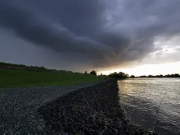 Elbe (Winsen/Luhe)-2