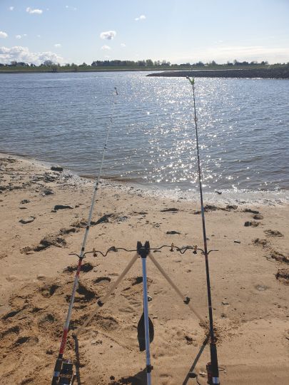 Elbe (Winsen/Luhe)-4