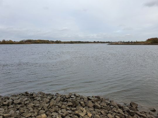 Elbe (Winsen/Luhe)-1