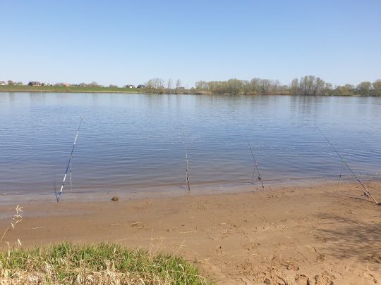 Elbe (Winsen/Luhe)-3