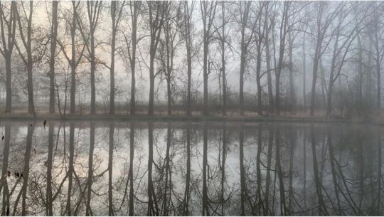 Vereinsteich Rockenmühle-1