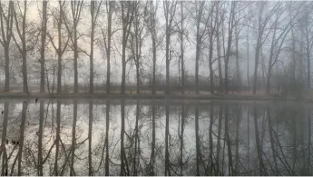 Vereinsteich Rockenmühle-1