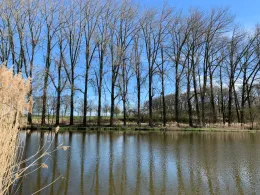 Vereinsteich Rockenmühle-2