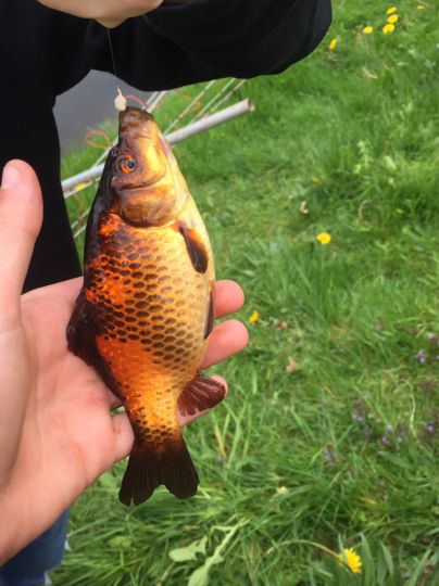 Kiesgrube Riekdahl-2