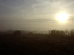 Kiesgrube Riekdahl-3