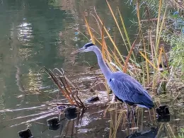 Stadtgraben Wolfenbüttel