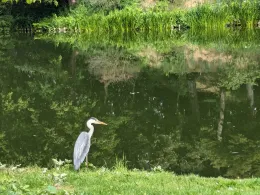 Stadtgraben Wolfenbüttel-4
